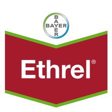 ETHREL