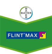 FLINT MAX