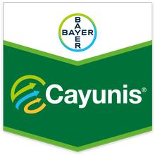 CAYUNIS