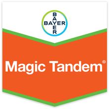 MAGIC TANDEM