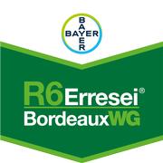 R6 ERRESEI BORDEAUX WG