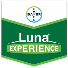 LUNA EXPERIENCE