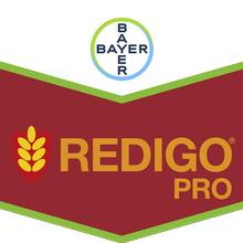 REDIGO PRO