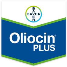 OLIOCIN PLUS