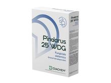 PINDARUS 25 WDG